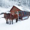 Kulig Dzień Babci i Dziadka